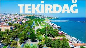 Tekirdağ ve İlçelerinde Periyodik Kontrol ve Önemi