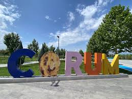 Çorum ve İlçelerinde Periyodik Kontrol ve Önemi