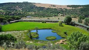 Bingöl ve İlçelerinde Patlamadan Korunma Dokümanı ve Bunun Önemi Nedir?