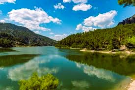 Burdur Pano Tek Hat Şeması Çizimi (PTHŞÇ) | Detaylı Anlatım