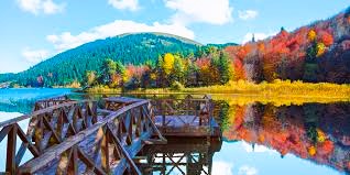 Bolu Yangın Tesisat Proje Çizimi Nedir? Zorunluluklar ve Hizmet