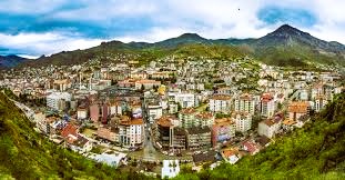 Gümüşhane Pano Tek Hat Şeması Çizimi (PTHŞÇ) | Detaylı Anlatım