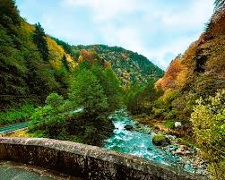 Rize Yangın Tesisat Proje Çizimi Nedir? Zorunluluklar ve Hizmet