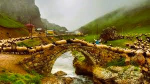 Gümüşhane Yangın Tesisat Proje Çizimi (YTPÇ) Nedir?