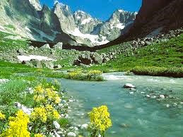 Hakkari Yangın Tesisat Proje Çizimi (YTPÇ) Nedir?