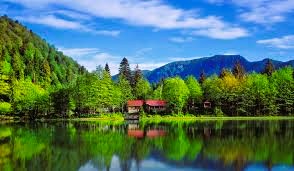 Artvin Elektrik Tesisat Proje Çizimi (YTPÇ) Nedir?