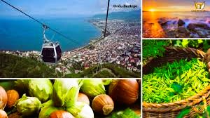 Ordu Pano Tek Hat Şeması Çizimi (PTHŞÇ) | Detaylı Anlatım