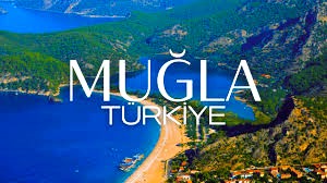 Muğla Pano Tek Hat Şeması Çizimi (PTHŞÇ) | Detaylı Anlatım