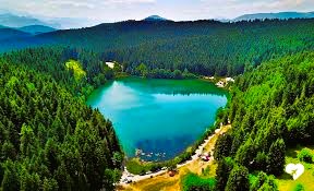 Artvin Kalibrasyon Hizmetleri | Sertifikalı Ölçüm ve Test Laboratuvarı