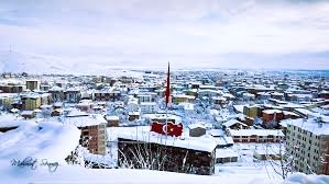 Muş İş Makinesi Periyodik Kontrol Hizmetleri Nedir?