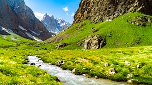 Hakkari Jeneratör Ruhsat Projesi Hizmetleri Nedir?