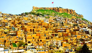 Mardin Jeneratör Ruhsat Projesi Hizmetleri Nedir?