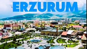 Erzurum İş Makinesi Periyodik Kontrol Hizmetleri Nedir?