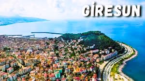 Giresun İş Makinesi Periyodik Kontrol Hizmetleri Nedir?