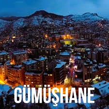 Gümüşhane İş Makinesi Periyodik Kontrol Hizmetleri Nedir?