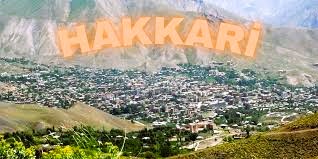 Hakkari İş Makinesi Periyodik Kontrol Hizmetleri Nedir?