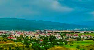 Bingöl Jeneratör Ruhsat Projesi Hizmetleri Nedir?