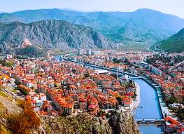 Amasya İş Makinesi Periyodik Kontrol Hizmetleri Nedir?