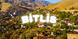 Bitlis Jeneratör Ruhsat Projesi Hizmetleri Nedir?