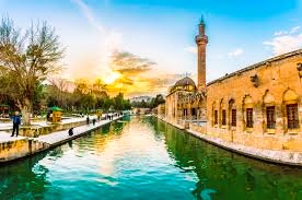 Şanlıurfa İş Makinesi Periyodik Kontrol Hizmetleri Nedir?