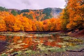 Bolu Jeneratör Ruhsat Projesi Hizmetleri Nedir?
