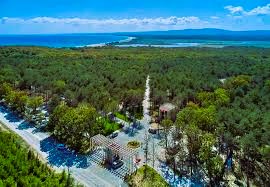 Kırklareli İş Makinesi Periyodik Kontrol Hizmetleri Nedir?