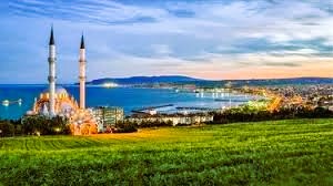 Tekirdağ İş Makinesi Periyodik Kontrol Hizmetleri Nedir?