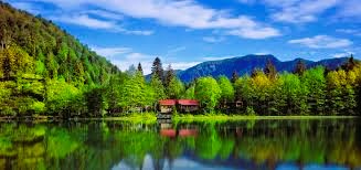 Artvin İş Makinesi Periyodik Kontrol Hizmetleri Nedir?